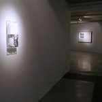 现场 Exhibition View 7