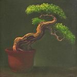 The boundaries of nature's -Potted Plant2   Oil on Canvas 50×50cm 2011