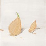 garlic feb.2004 30x41cm oil on canvas