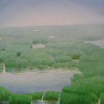 Wetlands No.5 Oil on Canvas120x150cm 2004
