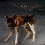 Dog No.5 Oil on Canvas  53x70cm 2001