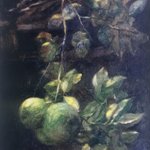 Fruits Oil on Canvas  65x45cm 2001