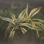 Golden Edge Orchio Oil on Canvas  45x45cm 2001