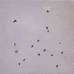 2008，费家村，夏—满目苍蝇 布面油画 30x30cm 2008