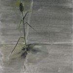 2008，费家村，夏—门前草 布面油画 30x30cmx5 2008