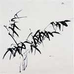 Xu Wei   Bamboo    Oil on Canvas  150x150cm  2006