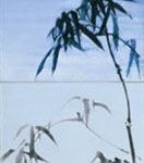 Li Shan Bamboo, Orchids and StonesOil on Canvas  300x100cm  2005
