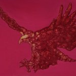 彭博 燃烧的火鸟 布面油画 40x30cm 2006