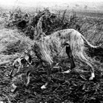  Chongwen, Shanxi Province 24×36cm gelatin silver print 2010