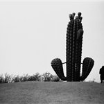 Kaifeng, Henan Province 24×36cm  gelatin silver print 2011 