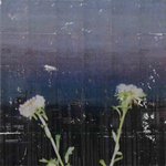 Capitol Records Shit Toots  split flowers   163x117cm Acrylic toner gloss varnish on canvas 2017