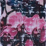 Parker Ito  Captiol Records Shit Toots pink and purple orchids  163x117cm Acrylic toner gloss varnish on canvas 2016