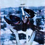 Parker Ito  Captiol Records Shit Toots tulip opening  163x117cm Acrylic toner gloss varnish on canvas 2016